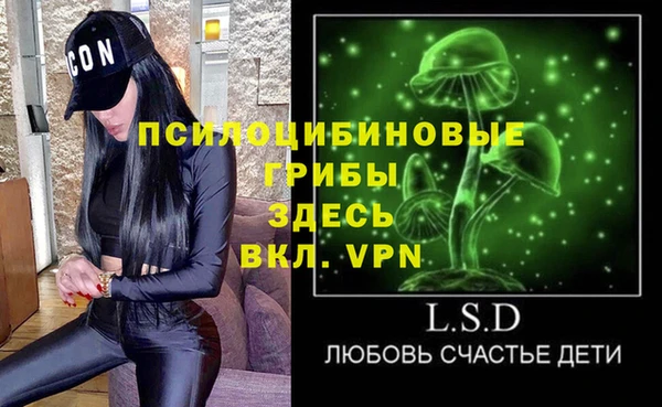 стафф Медвежьегорск