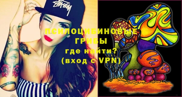спиды Мегион