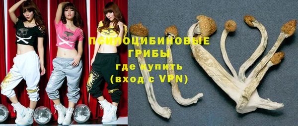 ГАЛЛЮЦИНОГЕННЫЕ ГРИБЫ Медногорск