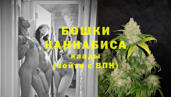 стафф Медвежьегорск