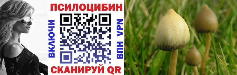 блэк спрут вход  Пойковский  Псилоцибиновые грибы мухоморы 