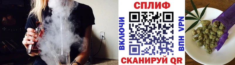продажа наркотиков  Пойковский  Марихуана сатива 